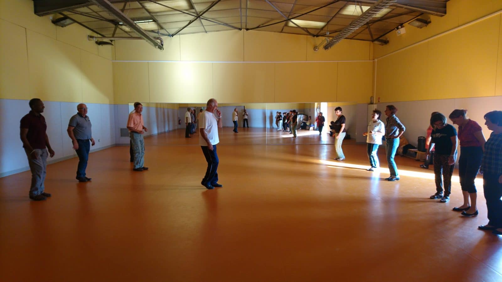 danse de salon 2 (2)